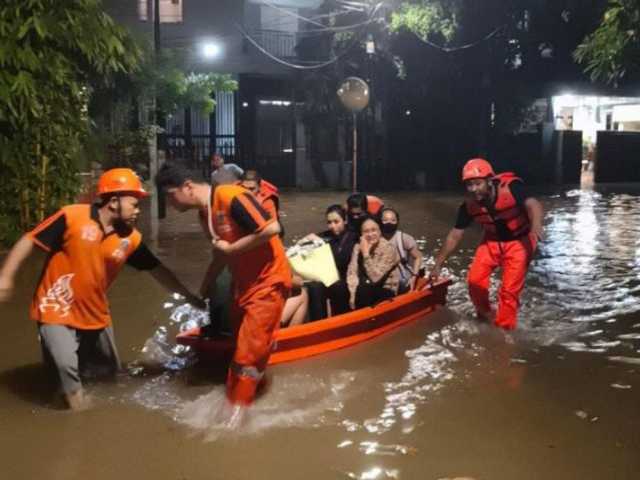 Search image article