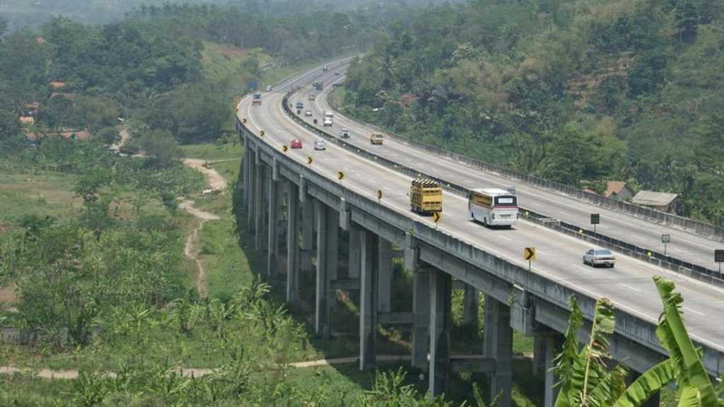 Search image article