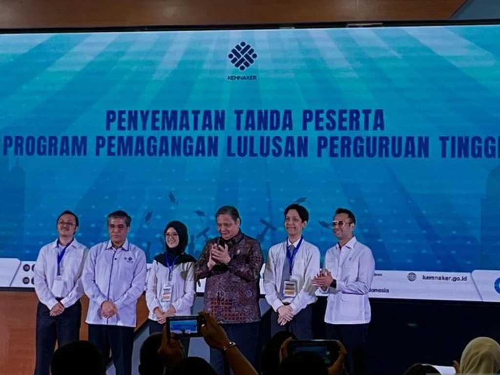 Search image article