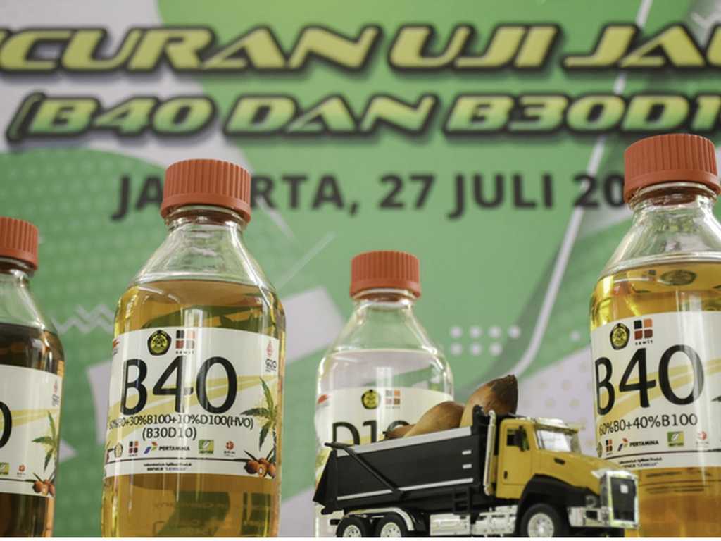 Search image article