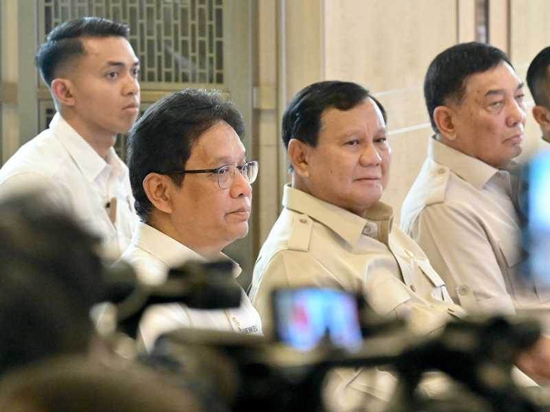 Search image article