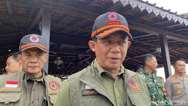 Search image article