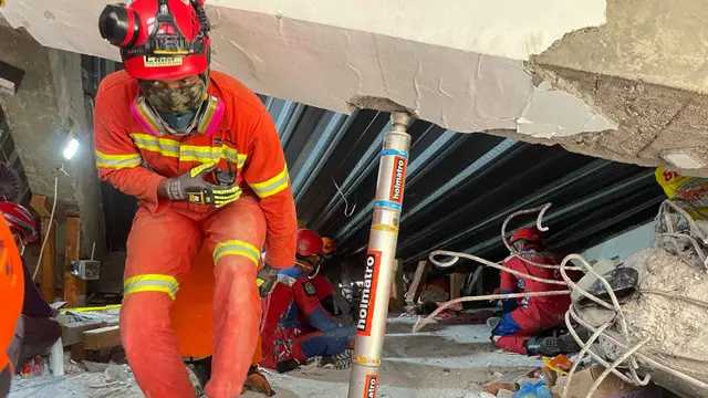 Search image article