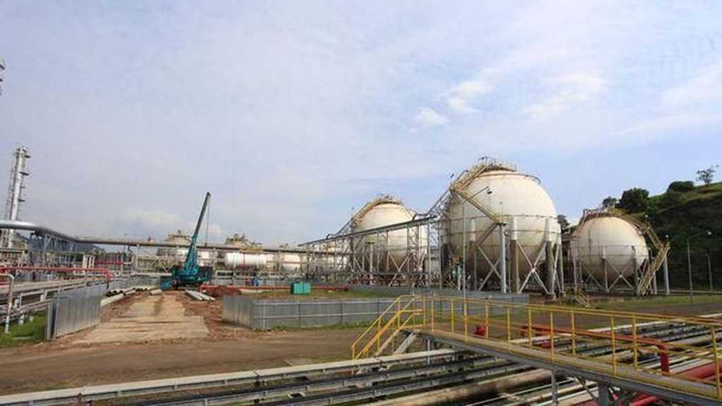 Search image article