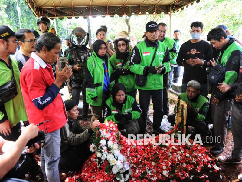 Search image article