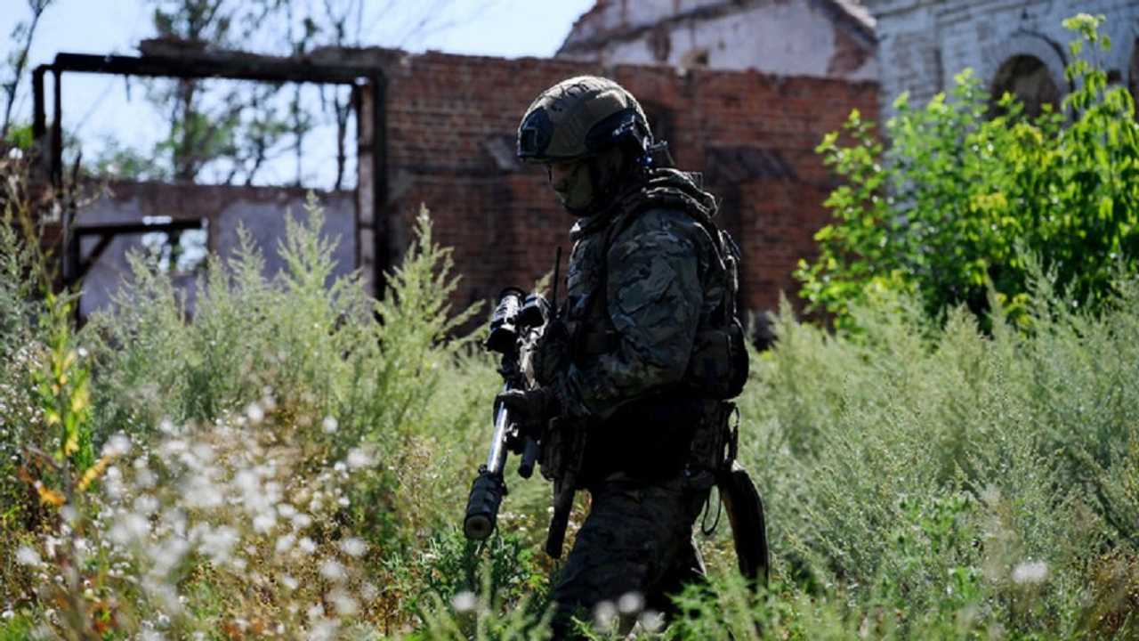 Search image article