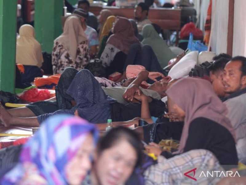 Search image article