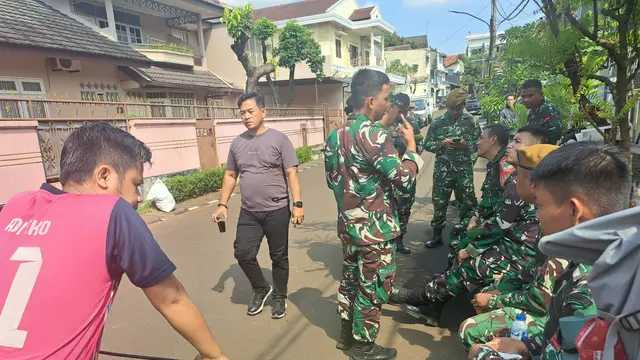 Search image article