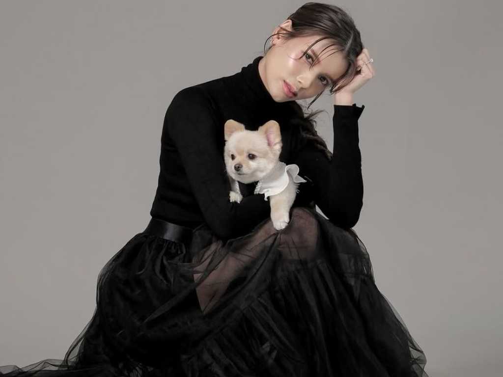 Search image article