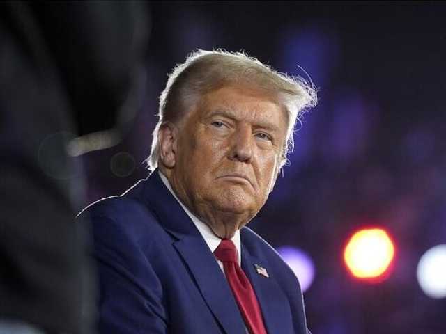 Search image article