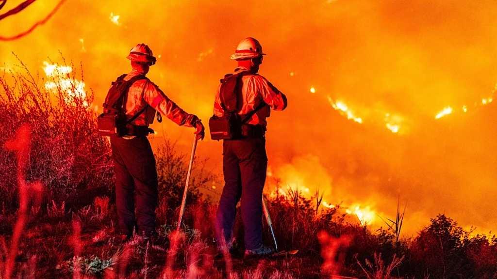 Search image article