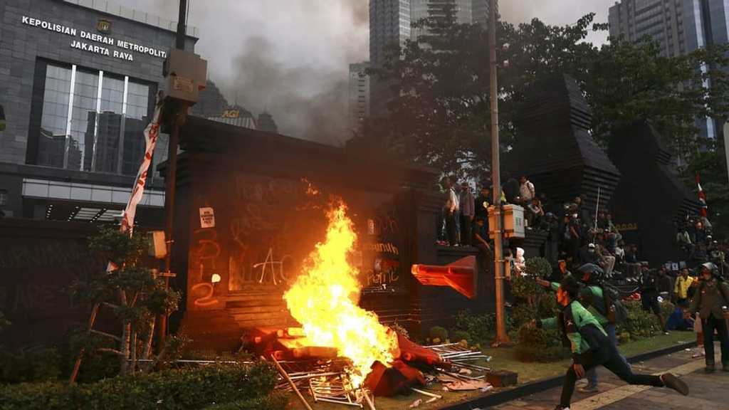 Search image article