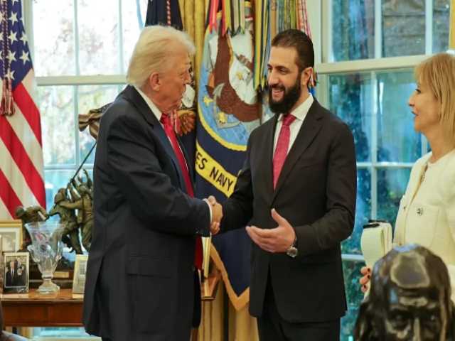 Search image article