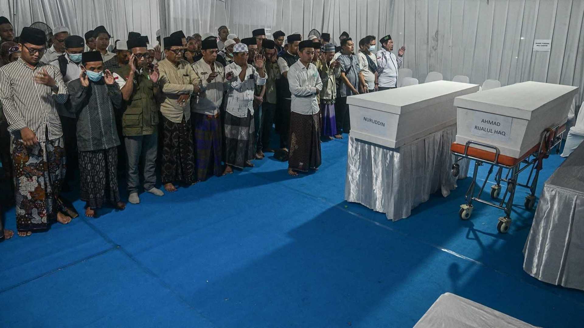 Search image article