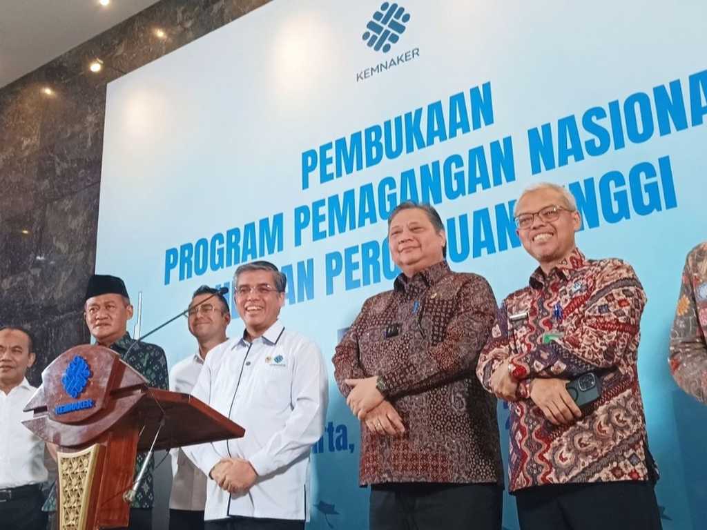 Search image article