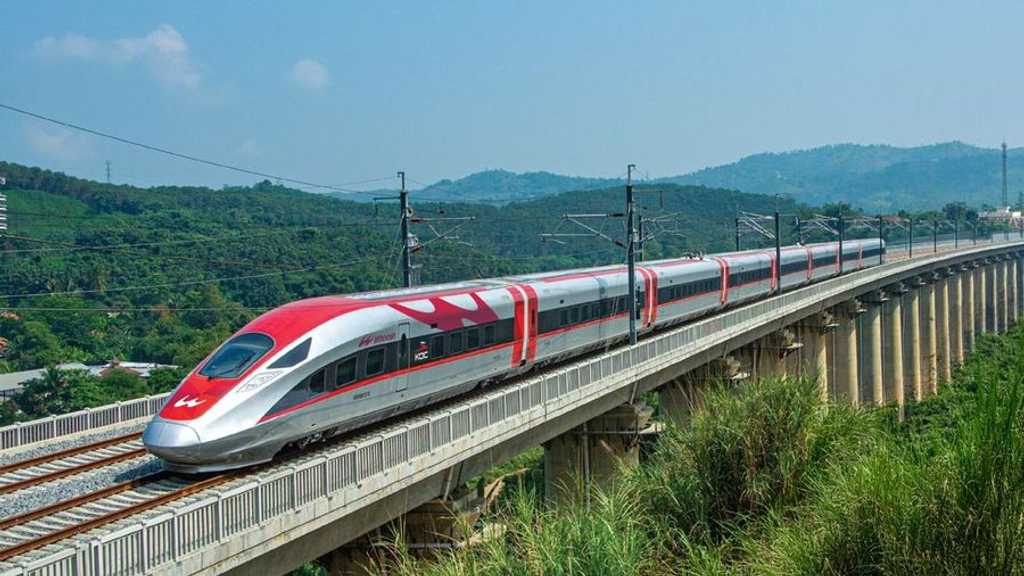 Search image article