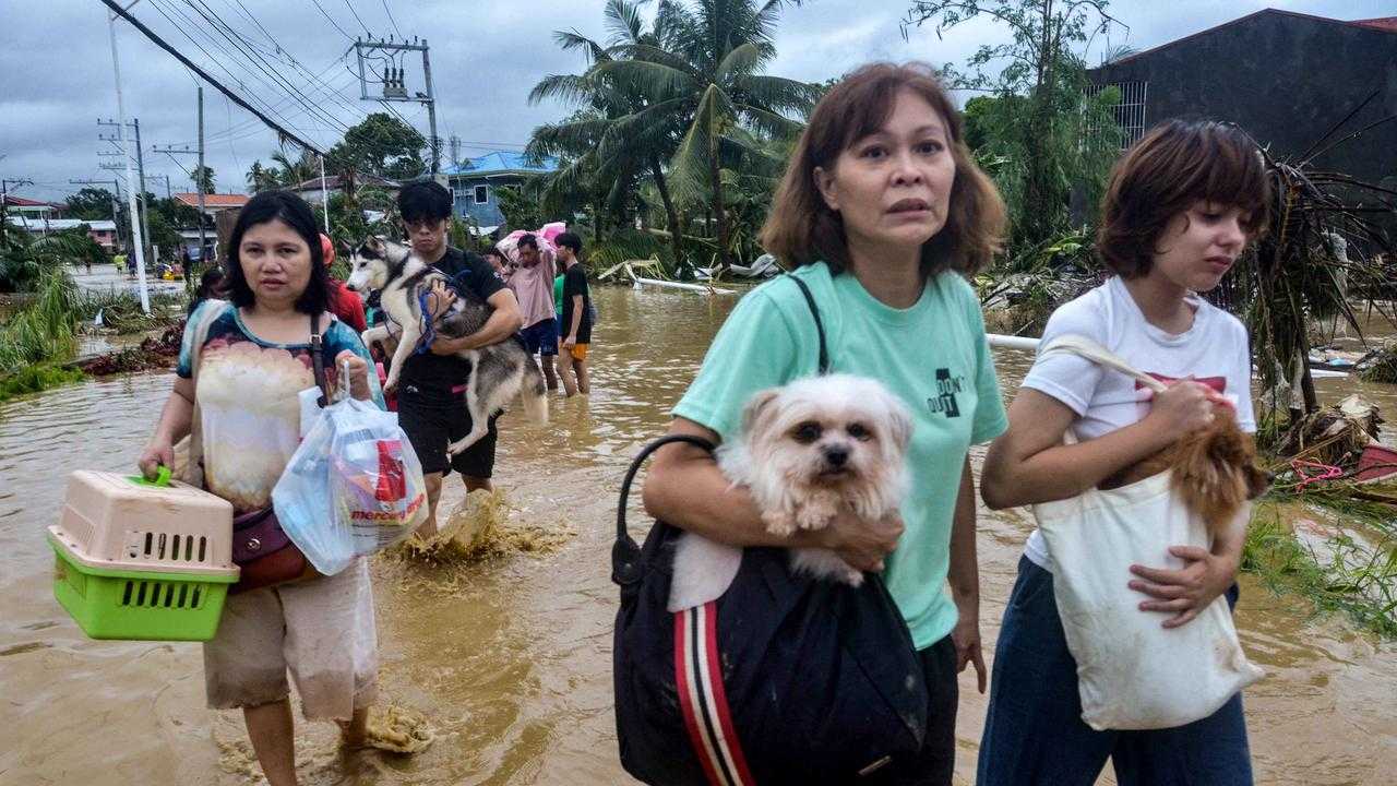 Search image article