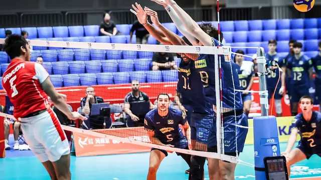 Search image article