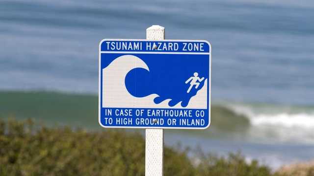 Search image article