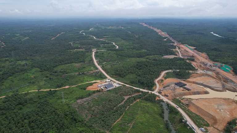 Search image article