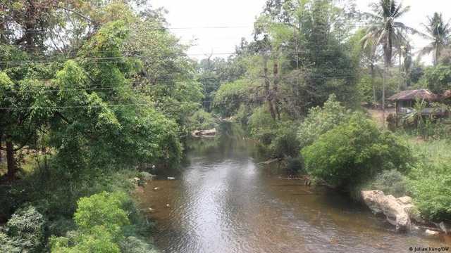 Search image article