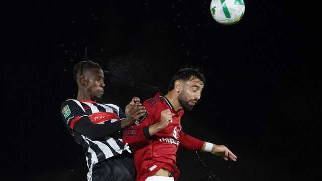 Search image article