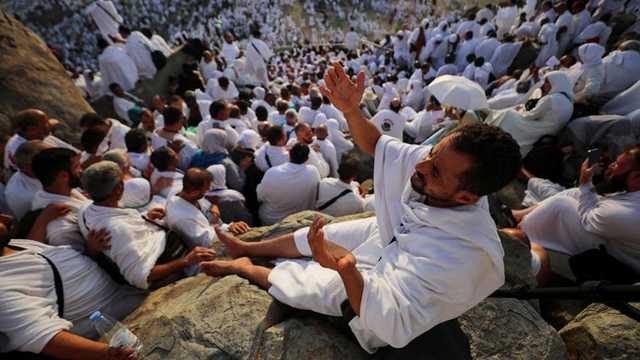 Search image article