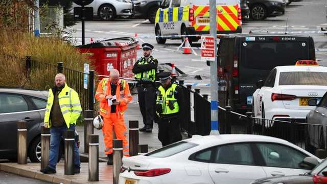 Search image article