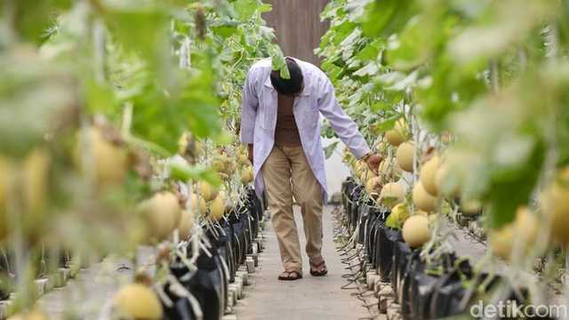 Search image article