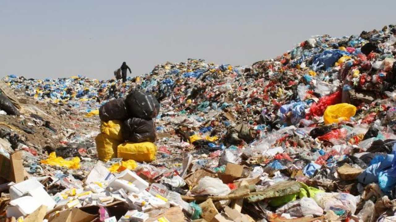 Search image article