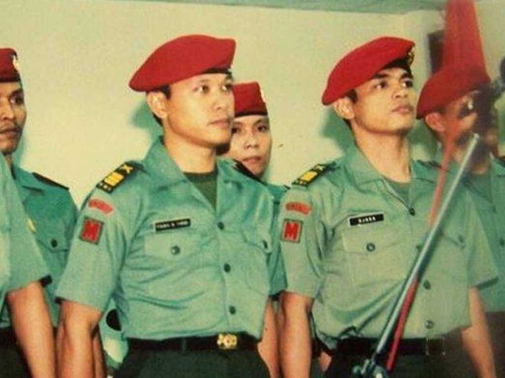 Search image article