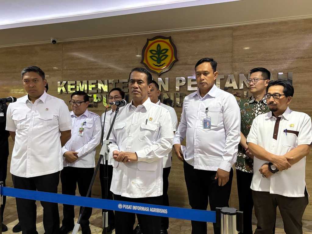 Search image article