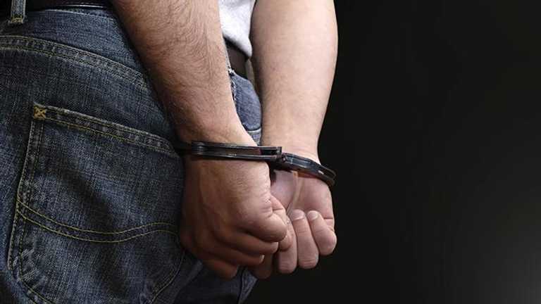 Search image article