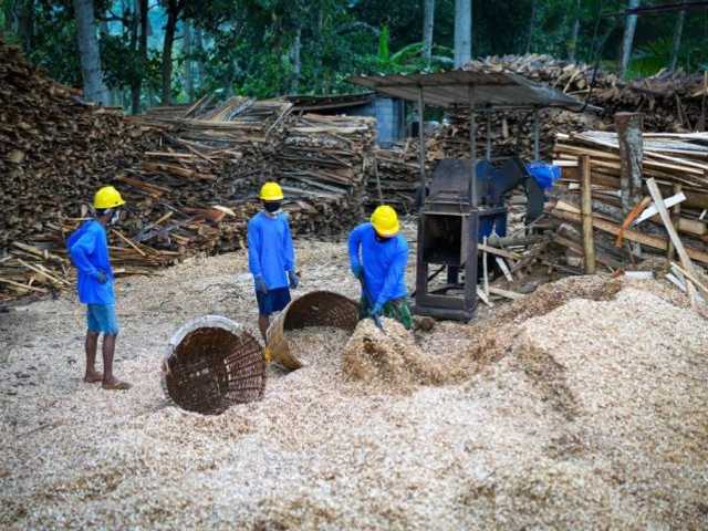 Search image article