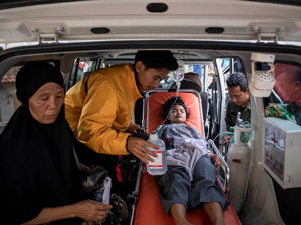 Search image article