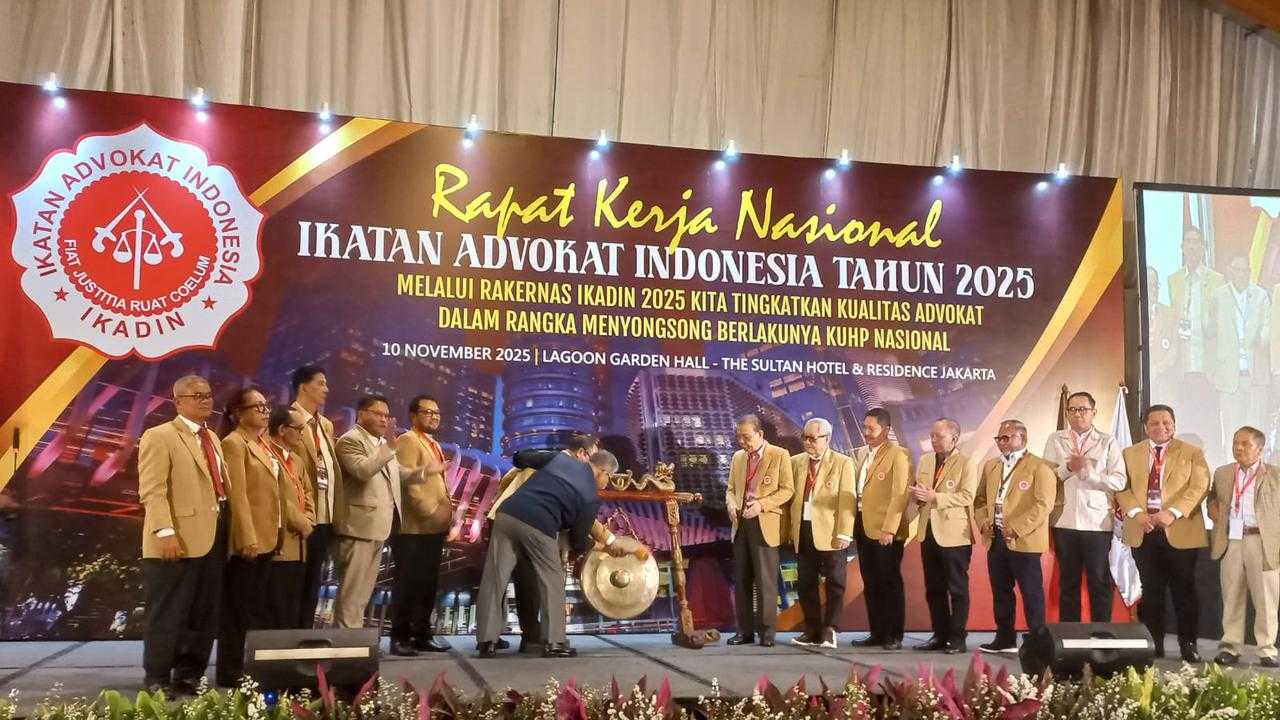 Search image article