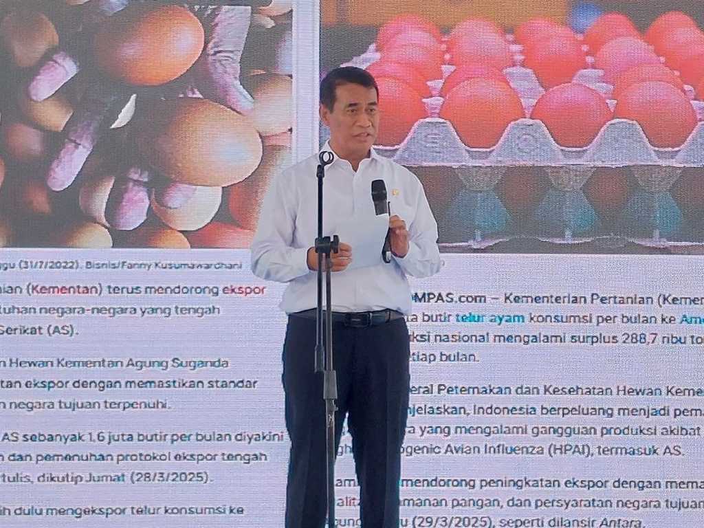 Search image article