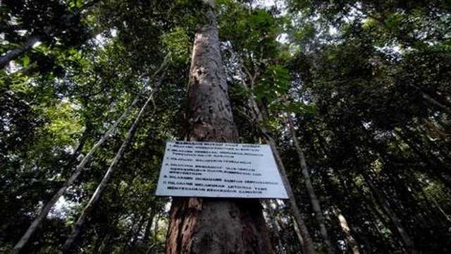 Search image article