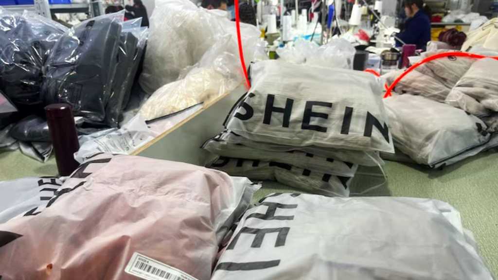 Search image article