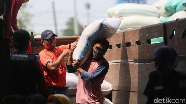 Search image article