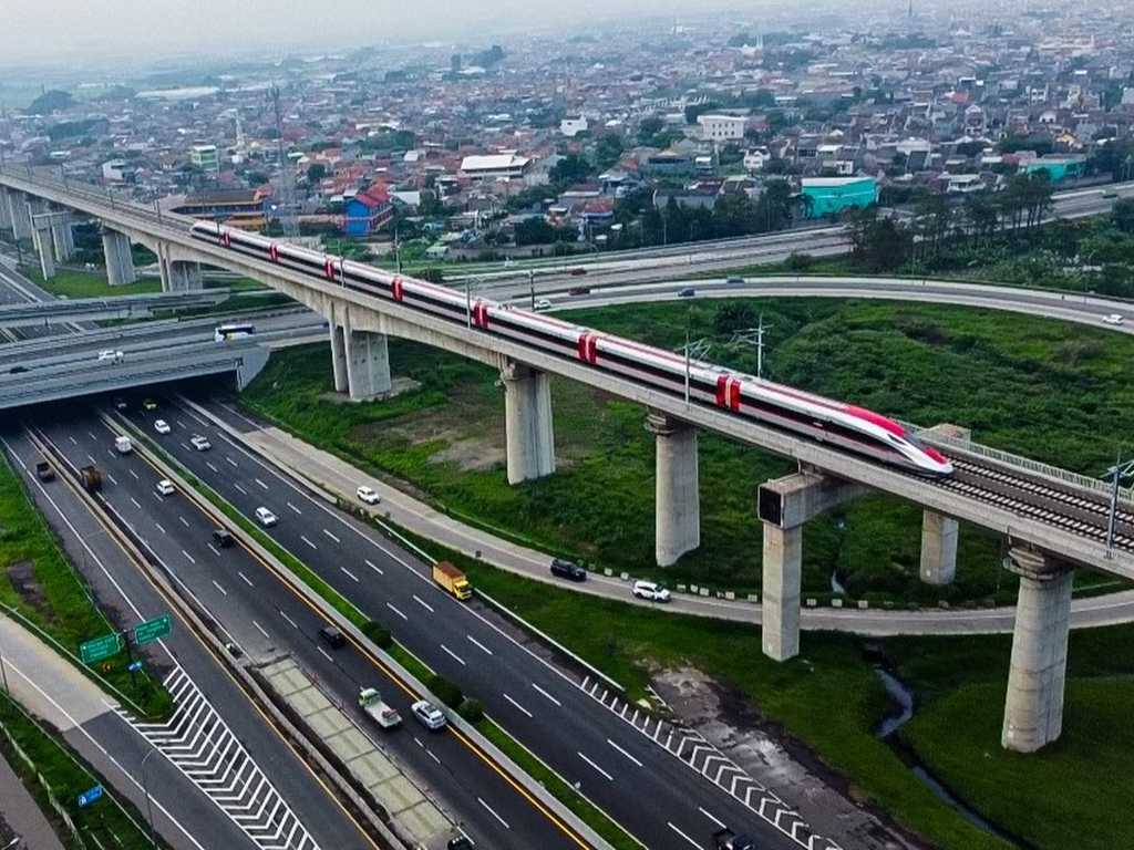 Search image article