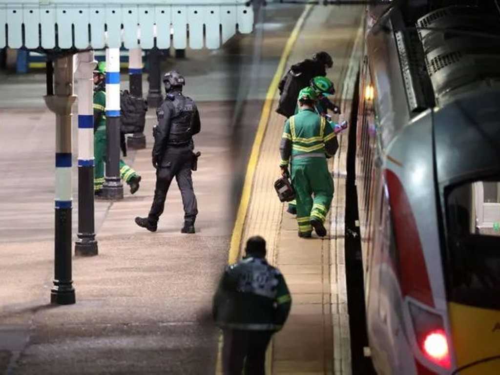 Search image article