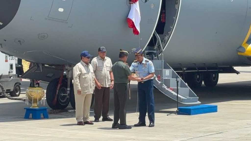 Search image article