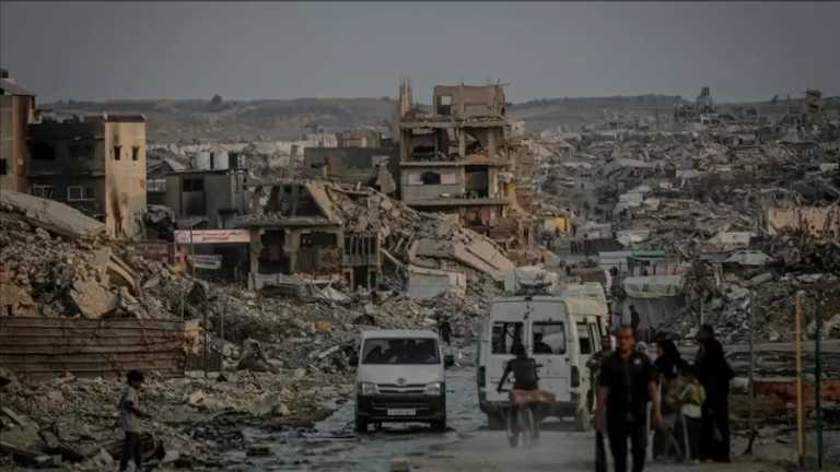 Search image article