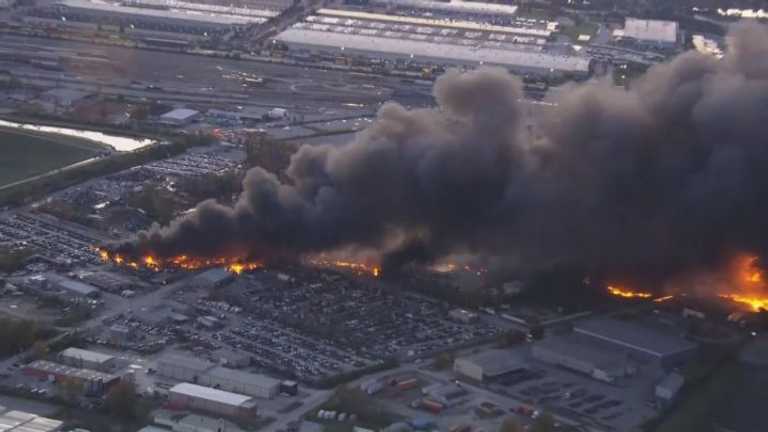 Search image article