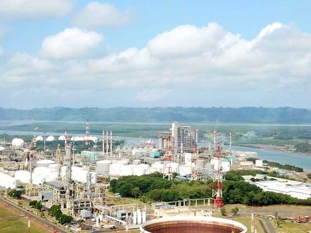 Search image article