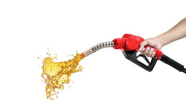 Search image article