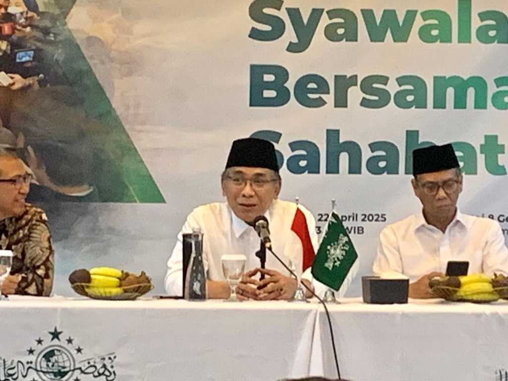 Search image article