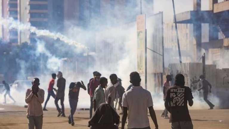 Search image article