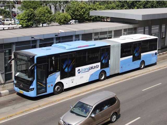 Search image article